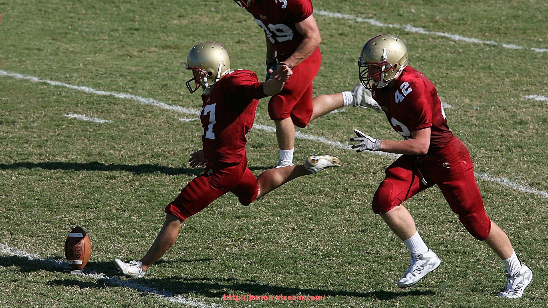 柠檬体育直播-法甲联赛中外援个人表现统计及其在比赛中的关键贡献解析